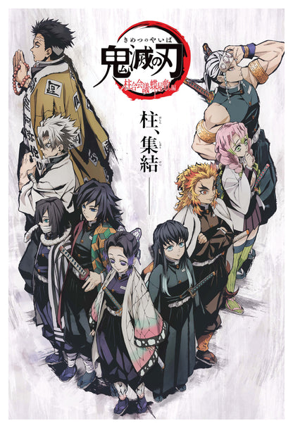 Demon Slayer - 06